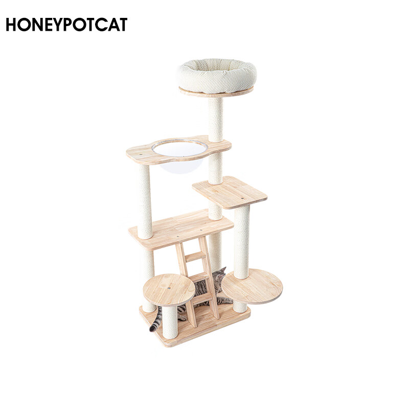 怎么看京东猫爬架历史价格曲线|猫爬架价格历史