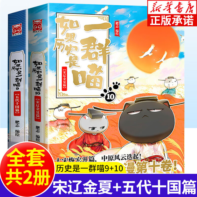 如果历史是一群喵11 南宋金元卷 第11