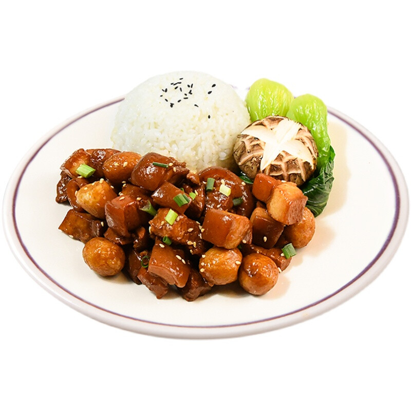冷冻盖浇饭外卖料理包速食商用快餐半成品小碗菜面浇头 10款盖饭试吃