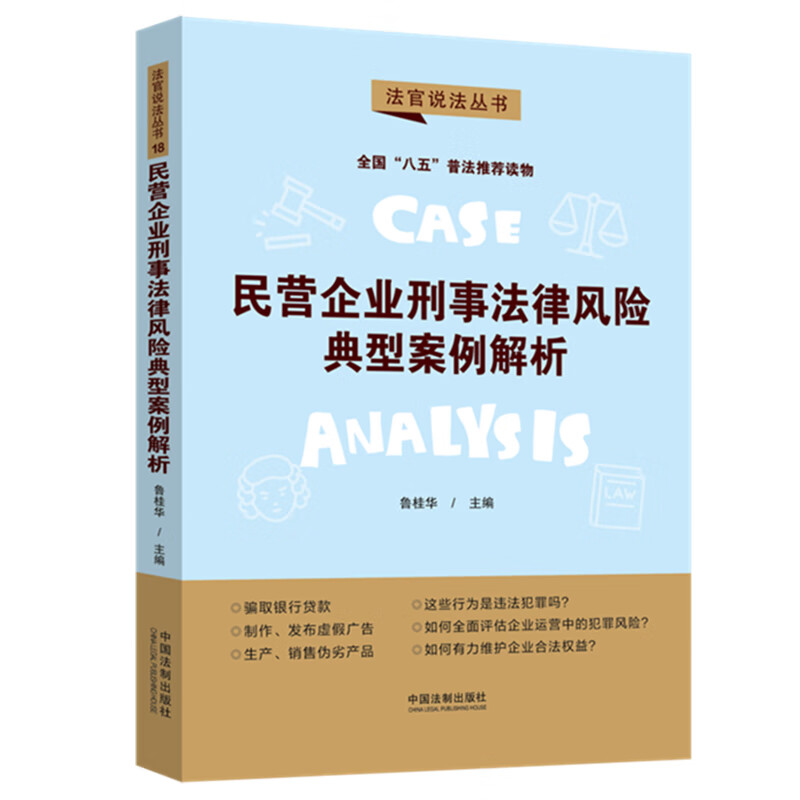 民营企业刑事法律风险典型案例解析 鲁桂华 主编 八五普法用书 法官说法丛书 中国法制社9787521619348 中国