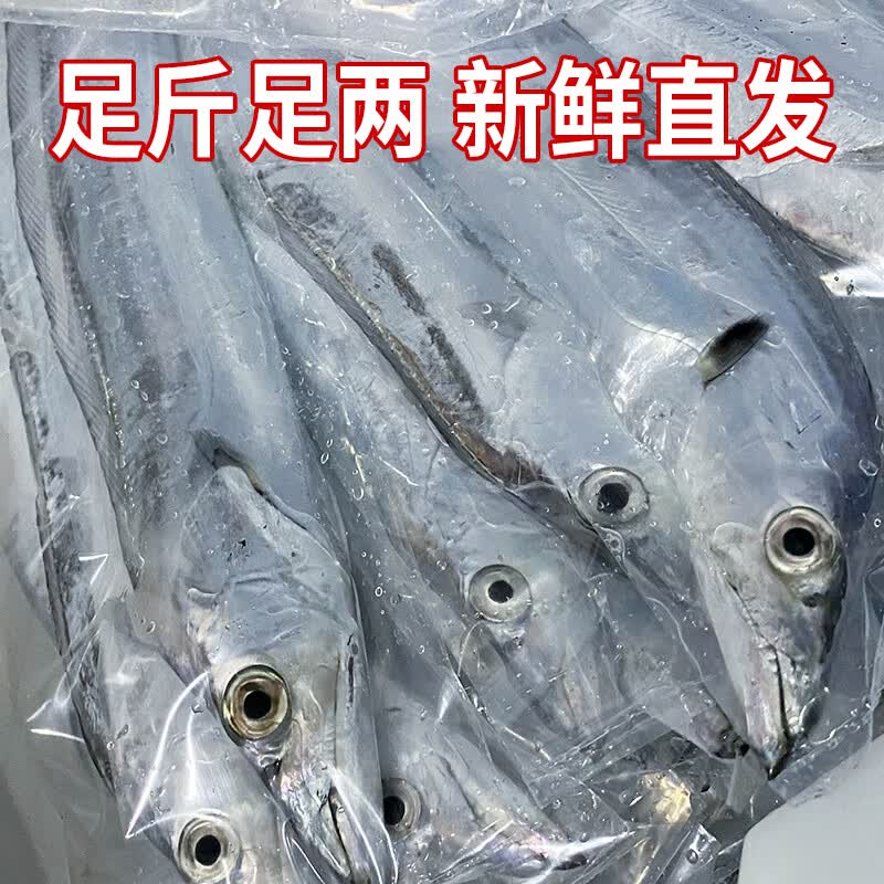 鲜喜利舟山带鱼整条新鲜鲜活冷冻小眼海钓油带鱼生鲜海鲜礼盒特大刀鱼 6-8两/条【净重3斤 舟山直发 】