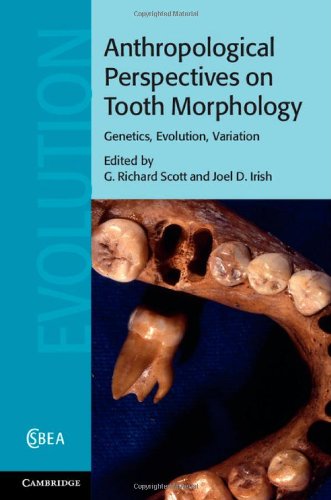 预订 Anthropological Perspectives on Tooth Morphology