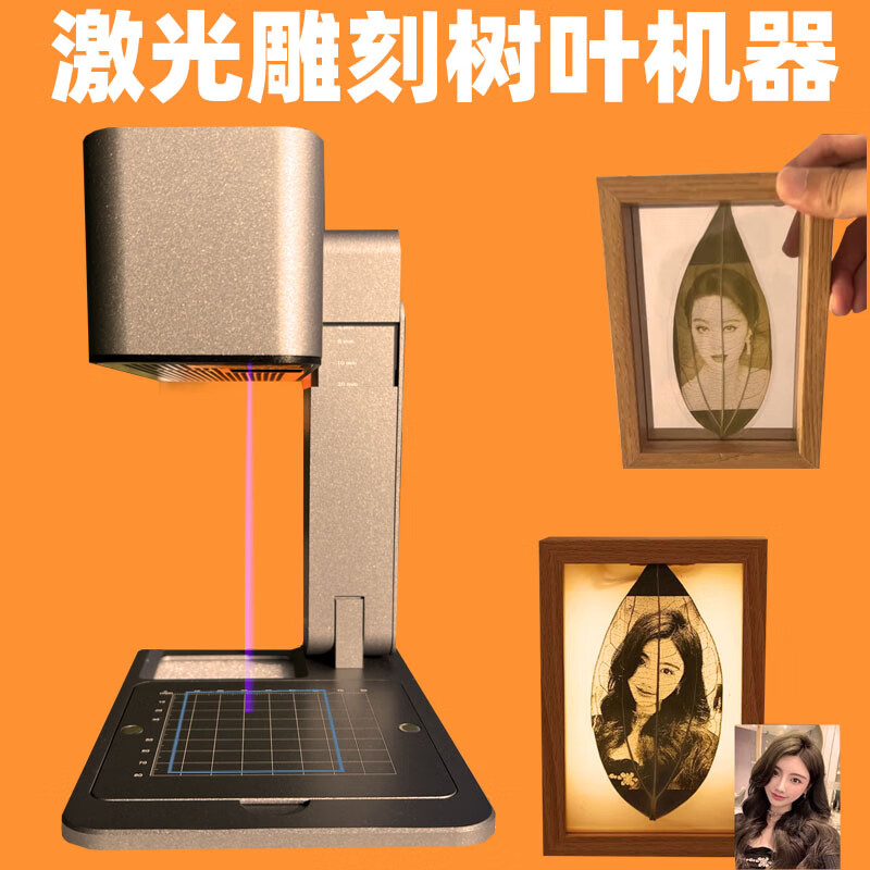 小型激光树叶雕刻机叶雕打印照片diy台式全自动便刻字机打标镭射 套餐一
