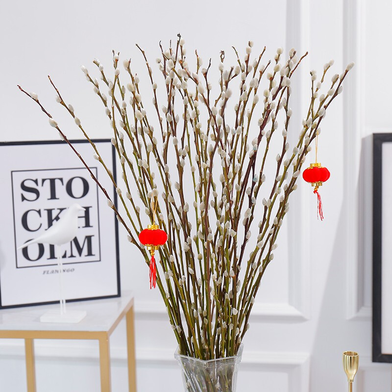 绿丝绦 银柳干花 银柳花 真花新枝 七彩干花 盆栽花卉 水培植物花卉