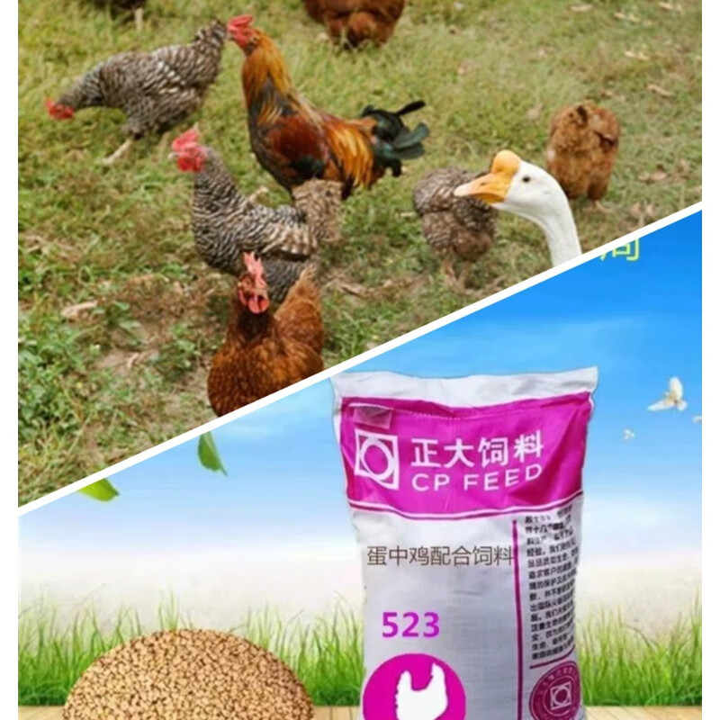 石家庄正大523青年鸡颗粒饲料鸡鸭鹅鸟类饲料垂钓打窝料 正大523青年鸡饲料80斤原包装怎么看?