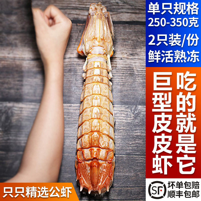 超大泰国巨型皮皮虾鲜活特大海鲜水产虾姑虾爬子熟冻濑尿虾富贵虾 700