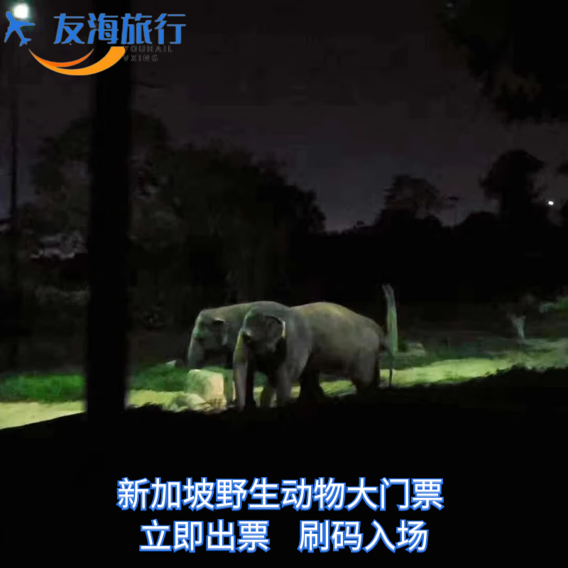 [新加坡夜间野生动物园-大门票(含电车)][新加坡夜间野生动物园-大