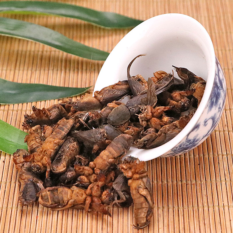 中药材新货干蝼蛄 土狗 地狗 蝲蝲蛄250克店内另有皇虫五谷虫