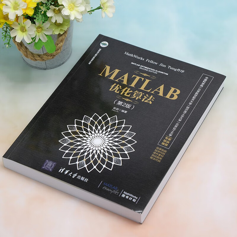 MATLAB优化算法（第2版）（科学与工程计算技术丛书）详情图