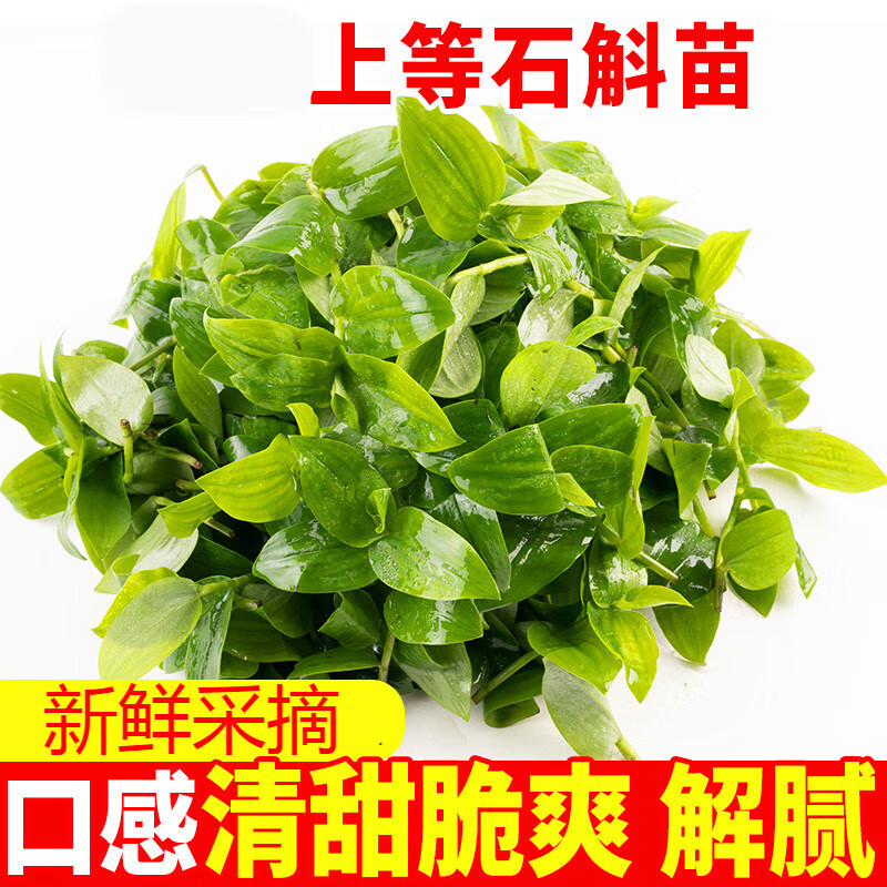 颜曼箐新鲜石斛苗食用煲汤清炒 现摘现发时令蔬菜农家自种当季特色菜