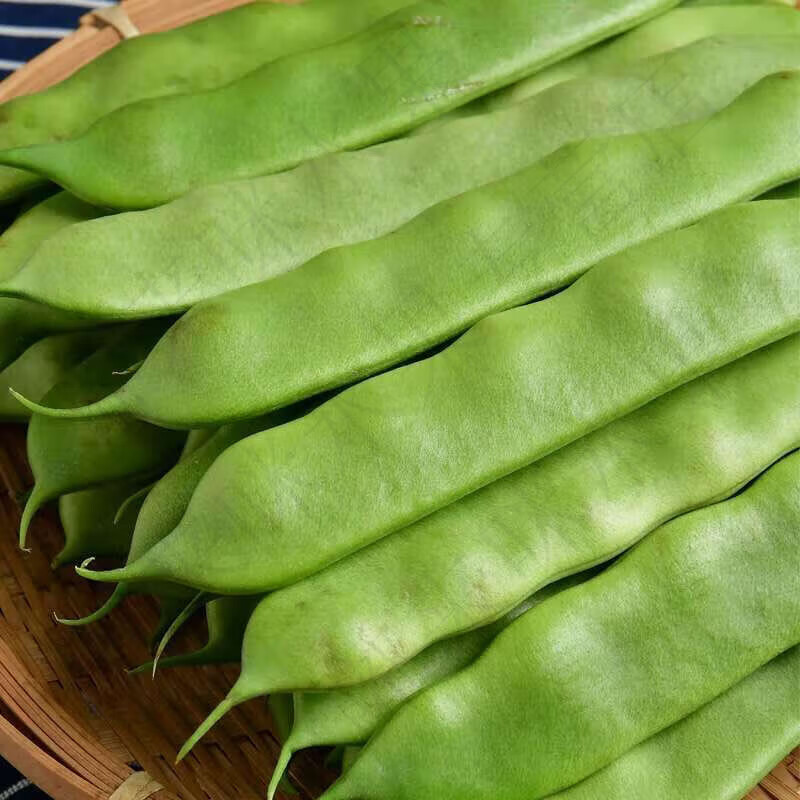 新鲜蔬菜现摘面豆角开锅烂 净重1斤
