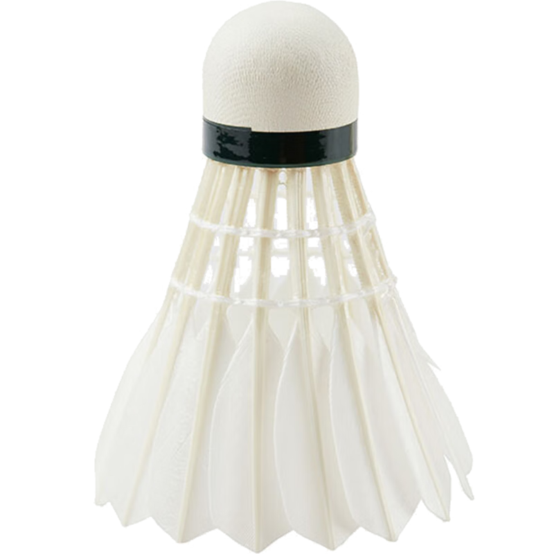 �����˹ AS-05 ��ѡѼë��ë�� 12ֻװ 2�� 1Ͳ 177Ԫ