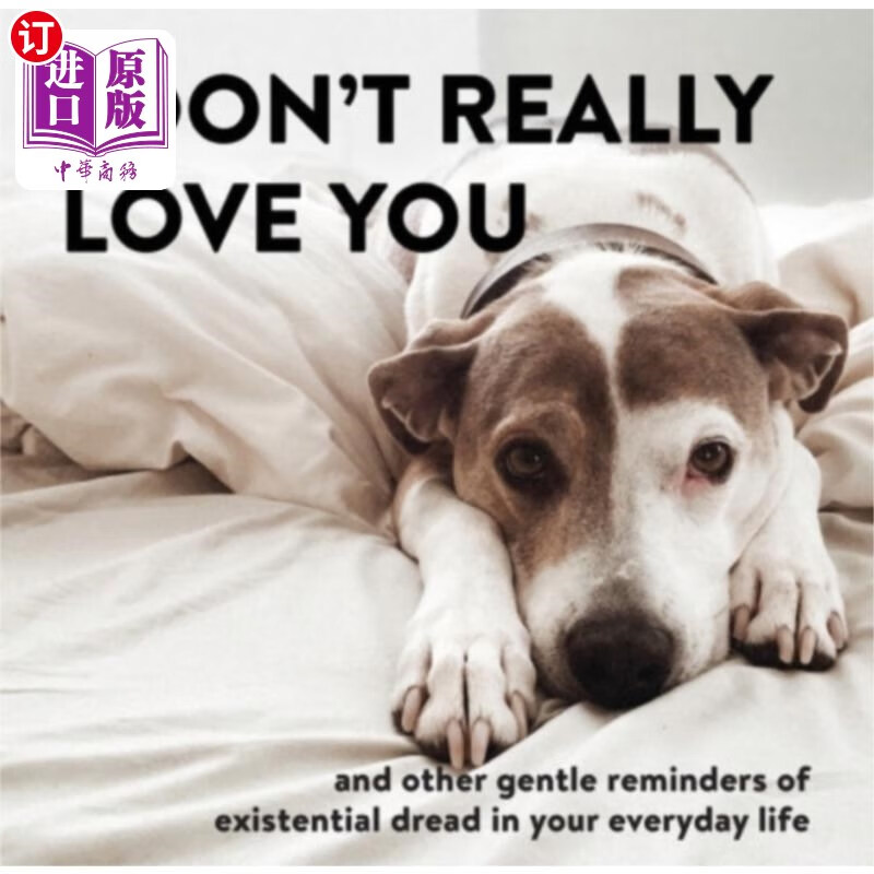 海外直订i dont really love you 我不是真的爱你