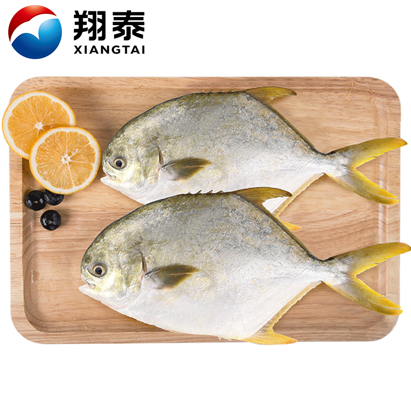 翔泰冷冻海南金鲳鱼700g 2条 生鲜鱼类 深海鱼  烧烤食