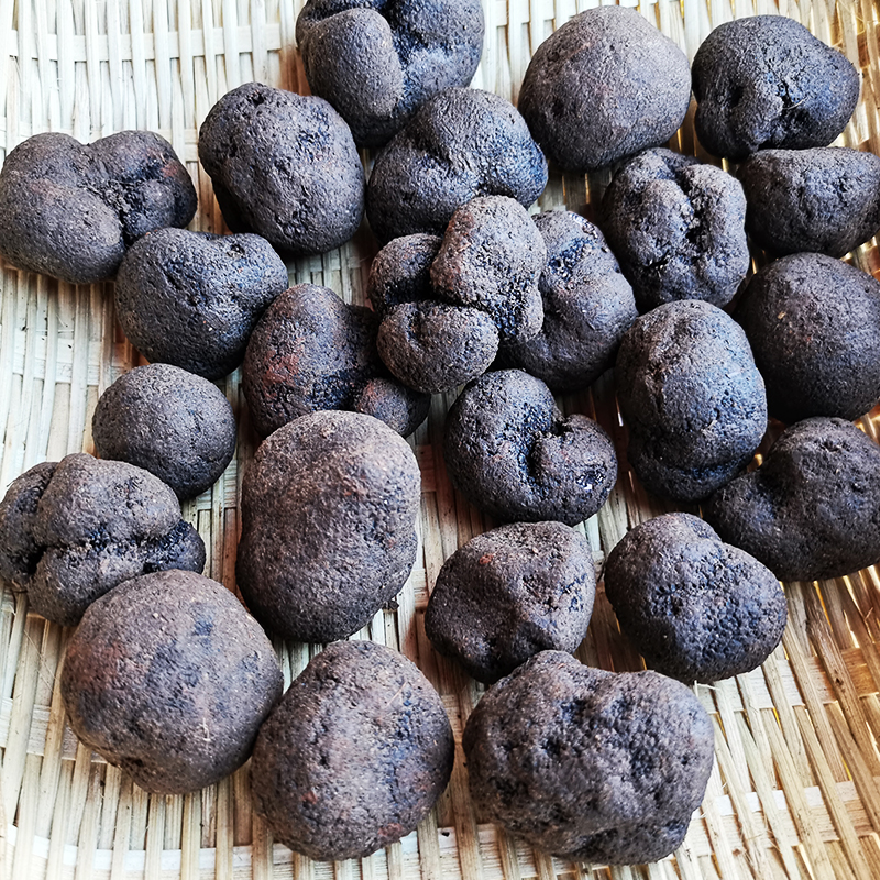 菌妙现货新鲜黑松露猪拱菌块菌云南香格里拉特产蘑菇成熟黑色味道香浓