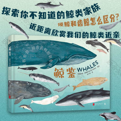 正版鲸鉴精美手绘图鉴图文并茂鲸鱼海洋环保动物科普大自然生物 鲸鉴