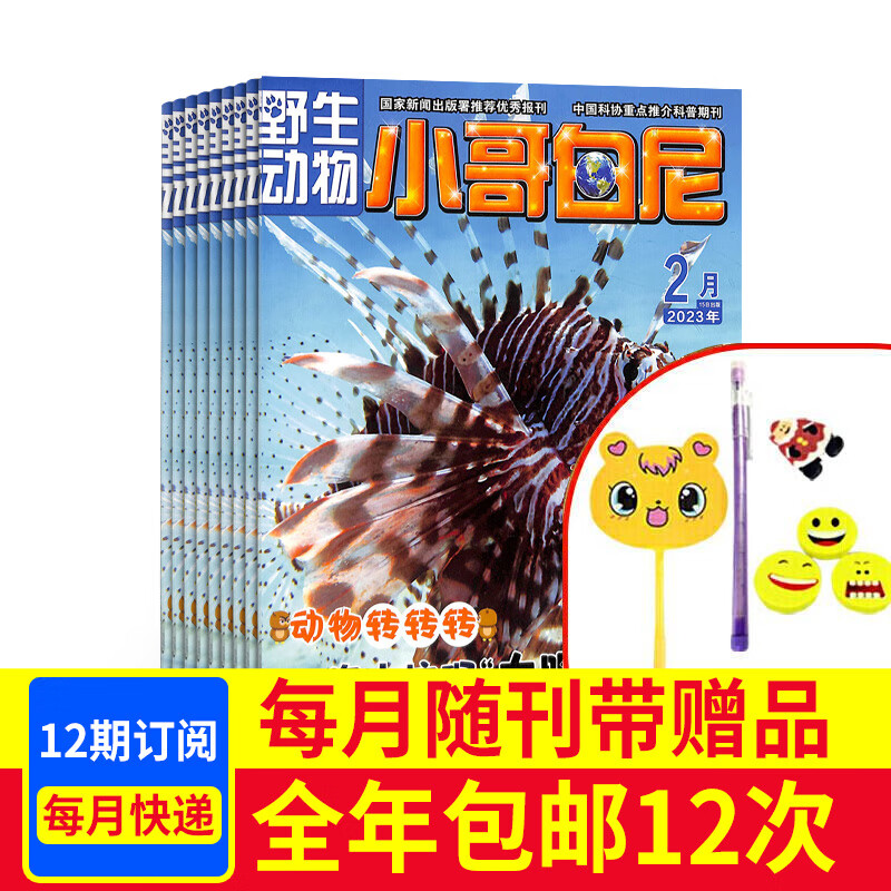 包邮小哥白尼野生动物画报杂志预订2023年10月起订阅 1年共12期 小学生课外阅读科普百科全书少儿兴趣阅读书籍期刊 图文并茂青少年人文科学画刊 杂志铺每月快递