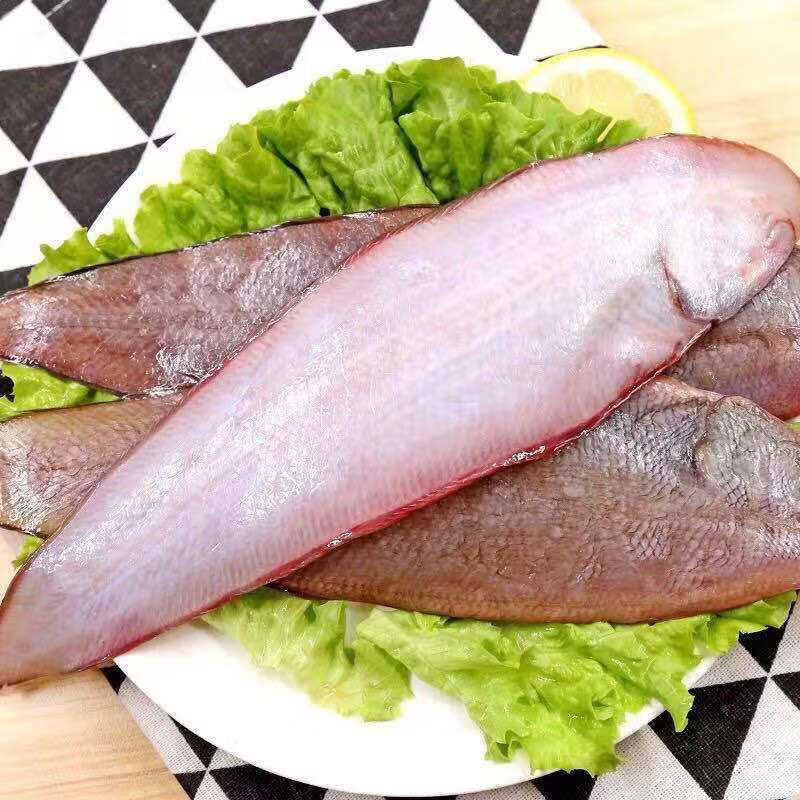 舌头鱼新鲜冷冻水产整条龙利鱼深海鱼舌鳎鱼踏板鱼 丽鲜玫 龙利鱼(1斤