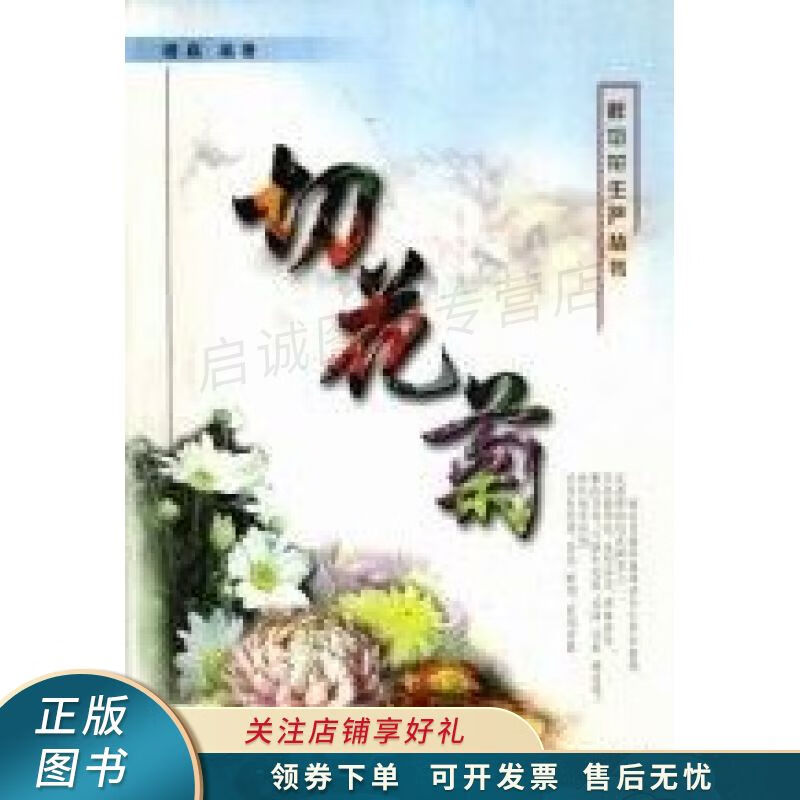 切花菊 穆鼎