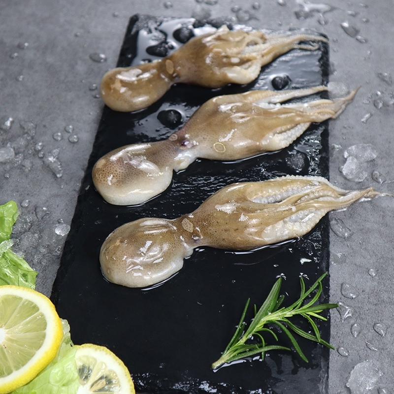 瀚通 小八爪鱼鲜活冷冻 去内脏 火锅板烧小章鱼仔 海鲜 生鲜 毛重500g