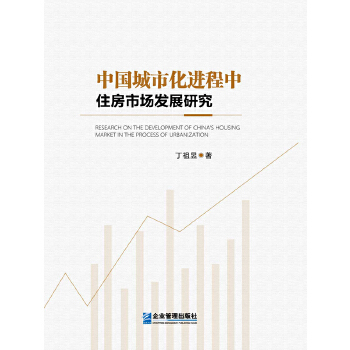 中国城市化进程中住房市场发展研究 丁祖昱【正版】