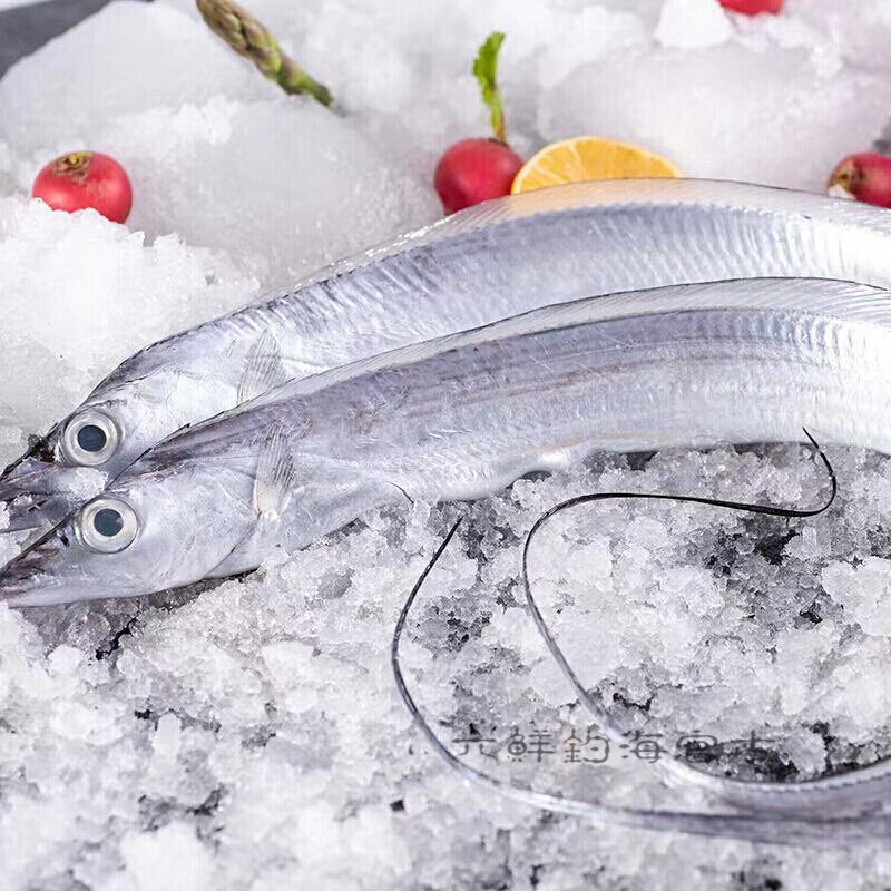 六鲜钓海 东海带鱼 整条鲜活冷冻 无冰衣 海捕刀鱼 生鲜海鲜水产 5斤