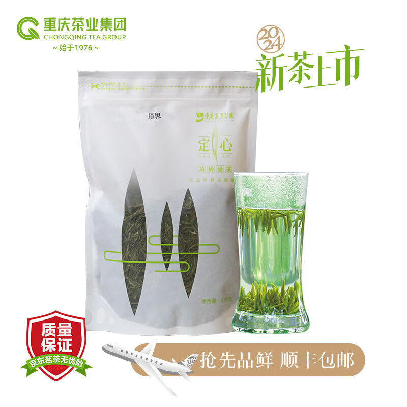 定心绿茶 2024新茶重庆特产明前高山云雾嫩芽头茶叶袋装境界250g