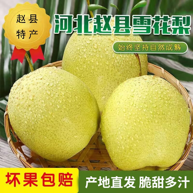 梨历史价格走势查询|梨价格走势图