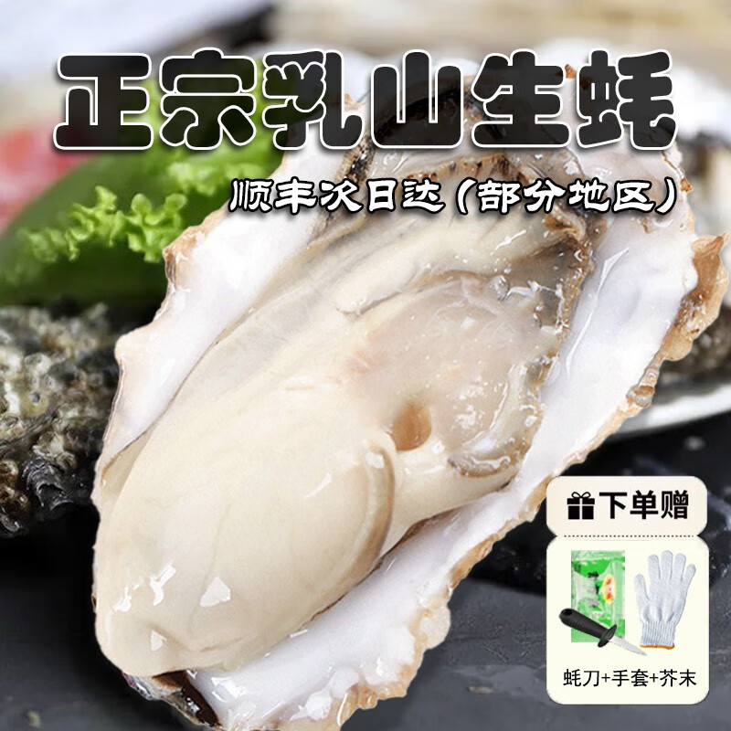 乳山牡蛎 纯净海域【无污染】鲜活生蚝牡蛎海蛎子中秋特产单只140g起 3斤装 3XL大号 约8-11只装属于什么档次？