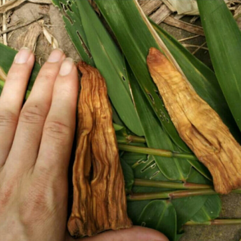 宜享健康烟熏烟燻笋干笋子竹笋四川特产贵州赤水筒筒笋特产小方竹