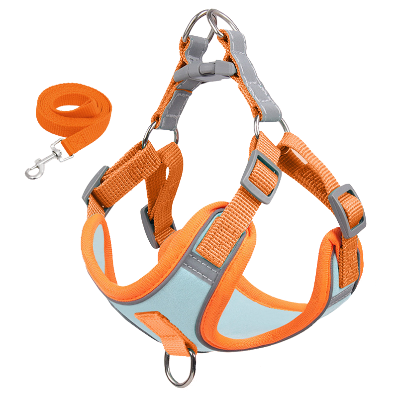 狗狗反光胸背带牵引绳狗绳遛狗绳套装小型犬泰迪比熊小狗牵狗绳子 橙蓝反光(绳长1.5米) S码(建议1-5斤)