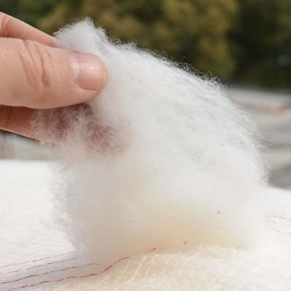 棉花被棉被冬被厂家生产直销夏凉被非纯棉被褥垫被子棉被棉絮清仓雪柯