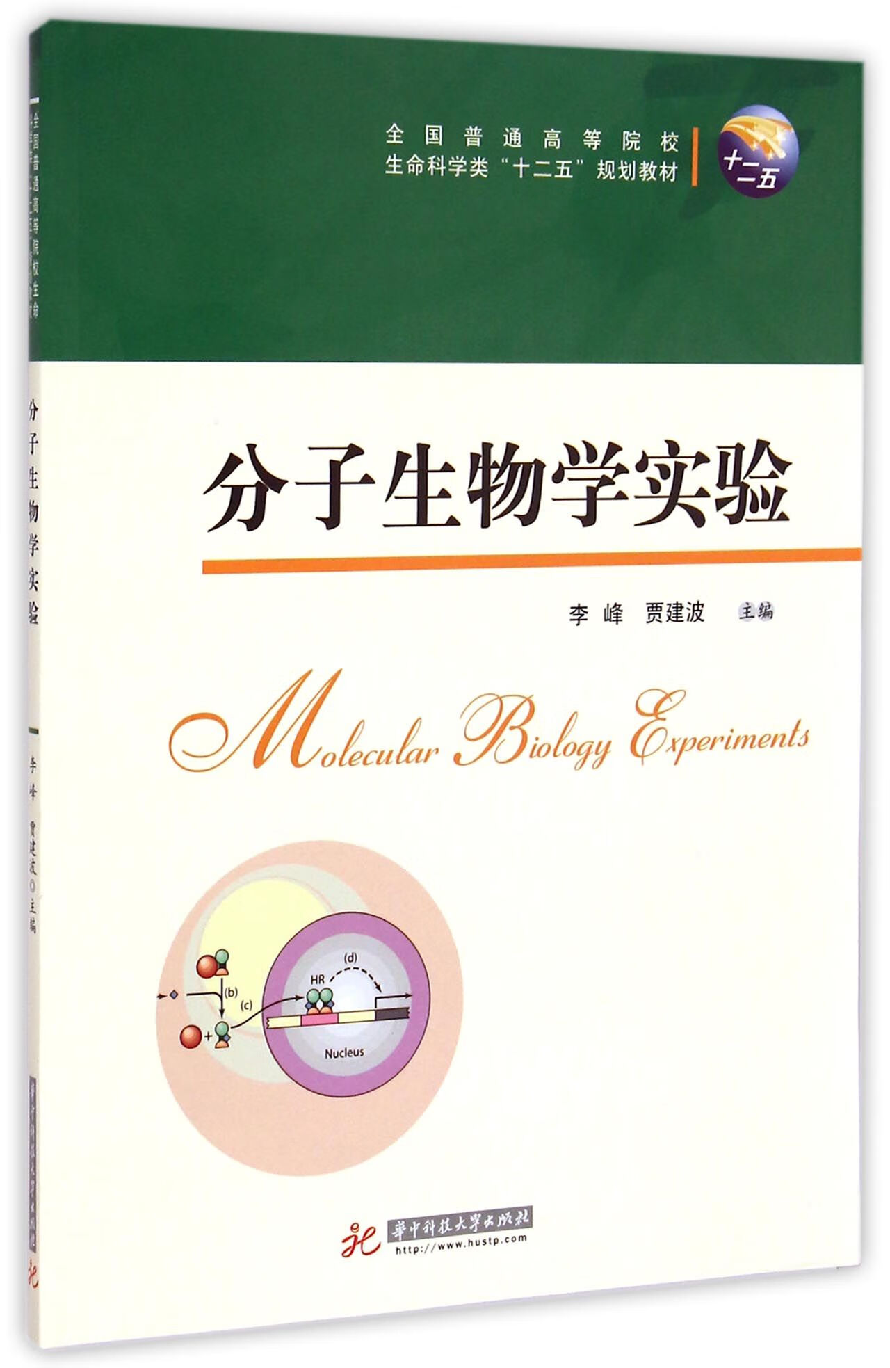 【正版】分子生物学实验(全国普通高等院校生命科学类十二五规划教材)