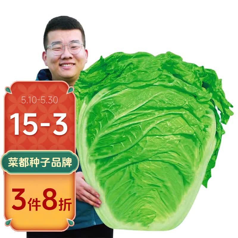 北蔬 大白菜种子山东胶州大白菜蔬菜籽 (叶多)叶多宝白菜种 10g/袋