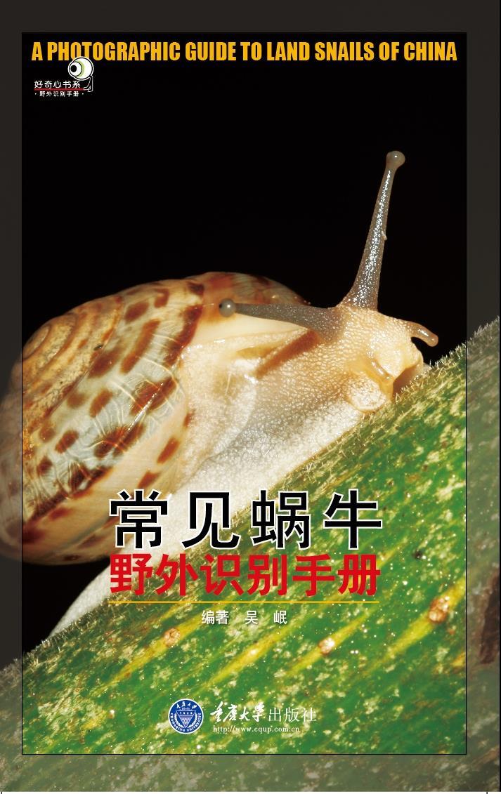 【新华书店 正版图书】好奇心书系·野外识别手册：常见蜗牛野外识别手册 吴岷编著 重庆大学出版社