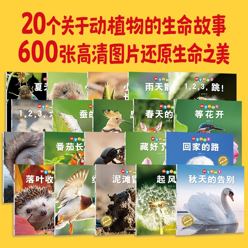 科学的种子：夏天的歌3-8岁儿童百科认识科学概念 养成科学思维 激发科学探索欲详情图