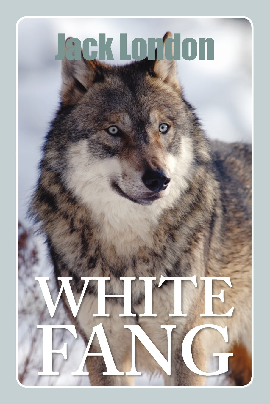 【预售 按需印刷】white fang