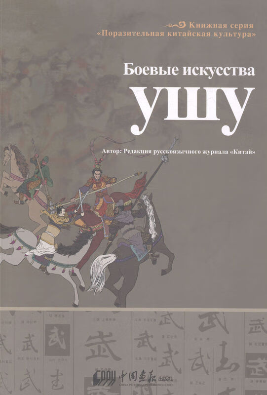 武:中国武术快速入门【正版书籍】