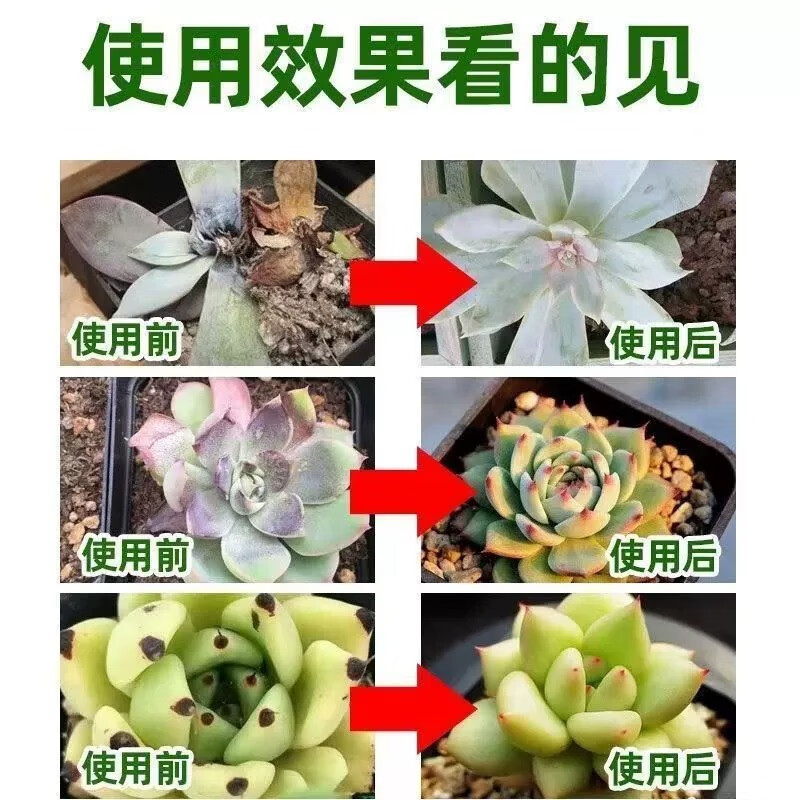 多肉白粉病专用剂杀菌防虫救白粉斑烂根化水黑腐植物通用多菌灵 一瓶体验装