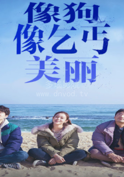 像狗像乞丐美丽