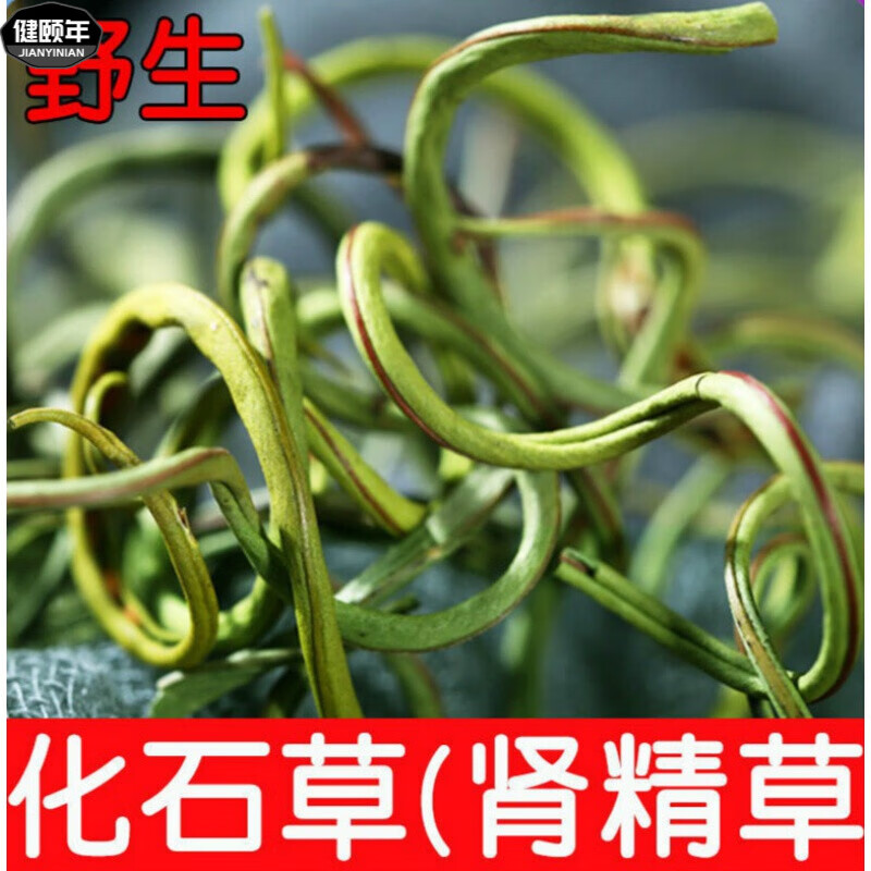 【官方店i旗舰】肾精茶长白山男女养生茶泡水五宝茶