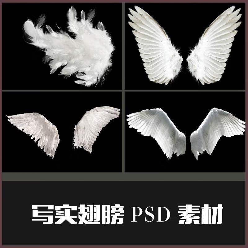 修图ps创意真实天使翅膀png/psd素材 儿童写真摄影后期素材