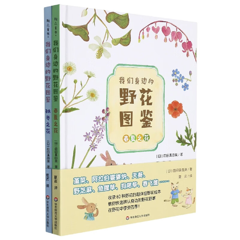 我们身边的野花图鉴(共2册)(精)