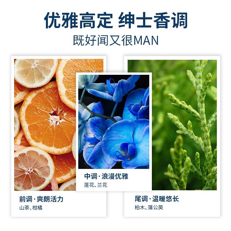 阿道夫男士洗发水沐浴露套装茶树精油控油蓬松清爽后背洁净持久留香 祛屑洗发水450ml+沐浴露450ml