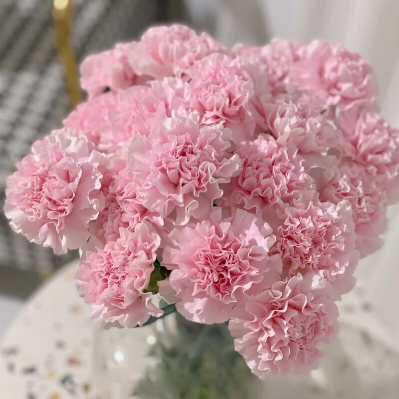 生活鲜花最全历史价格表|生活鲜花价格走势