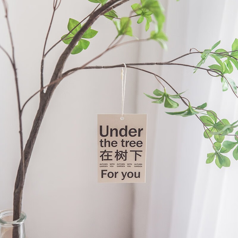 δŷ �����¿�Ƭ ����ľ����ˮ��Ҽ� ��ŷ��ֲװ�ο��� ���׹��� 4.5Ԫ(����ȯ)