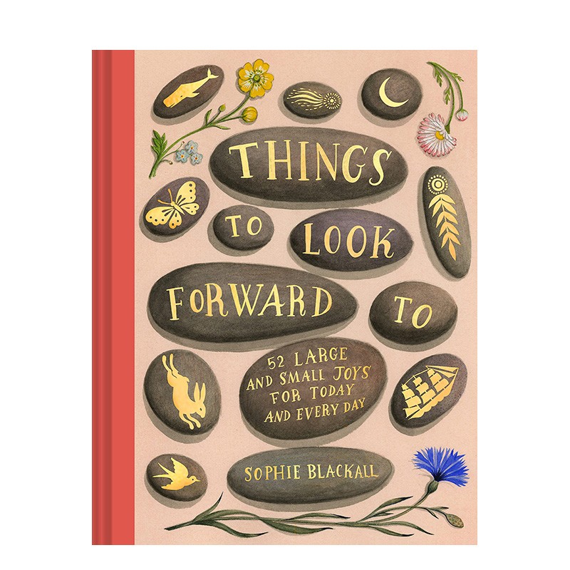 【现货】值得期盼的事情 things to look forward to 英文原版进口