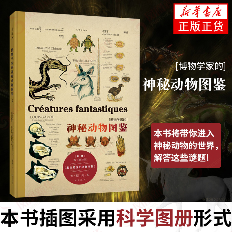 博物学家的神秘动物图鉴 自然科学西方版的山海经大幅手绘解剖图彩图