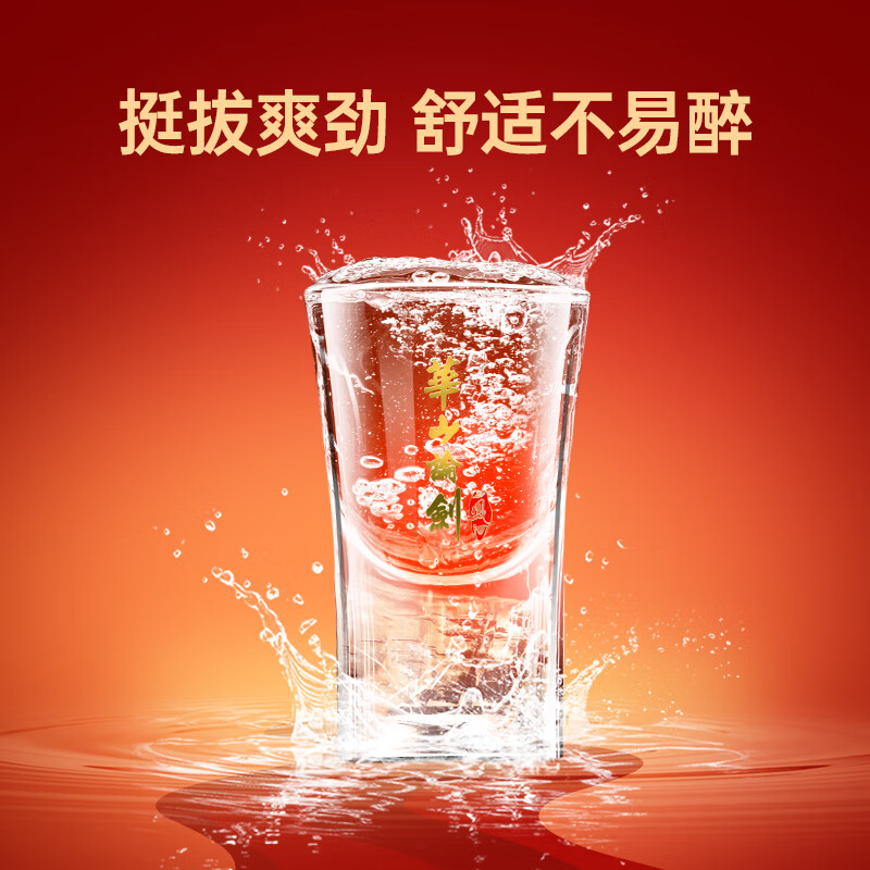 西凤华山论剑10年45度中秋送礼礼盒双瓶喜酒白酒 45度 500mL 2瓶