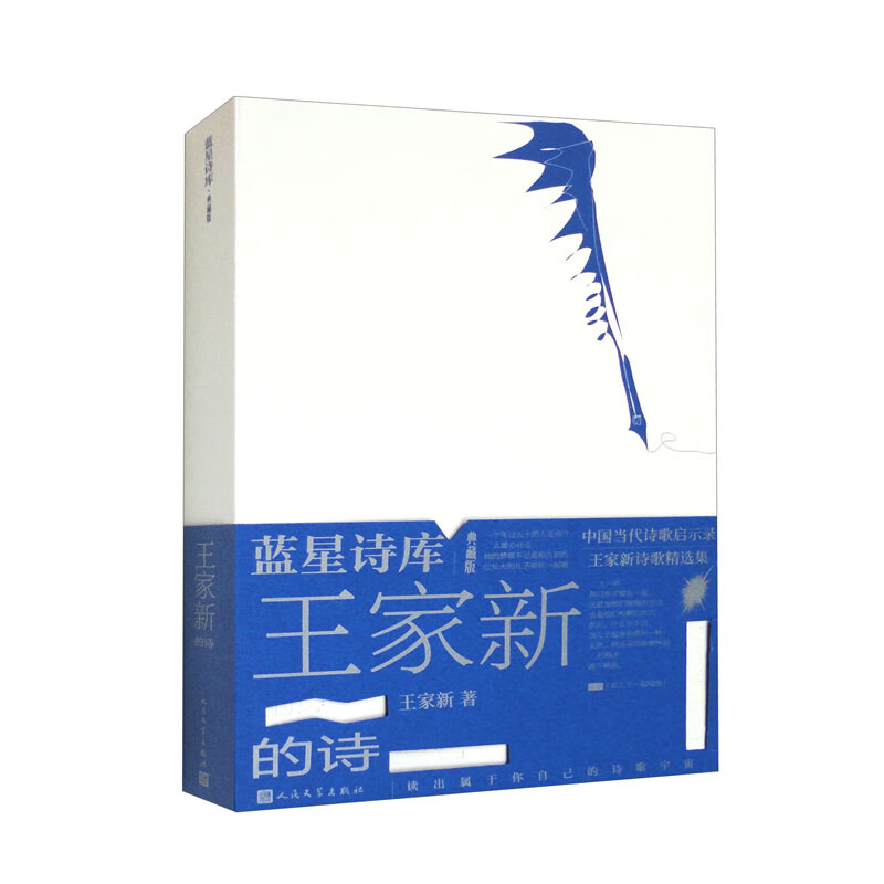 王家新的诗蓝星诗库典藏版